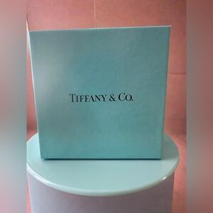 #81 Tiffany & Co Gift Box